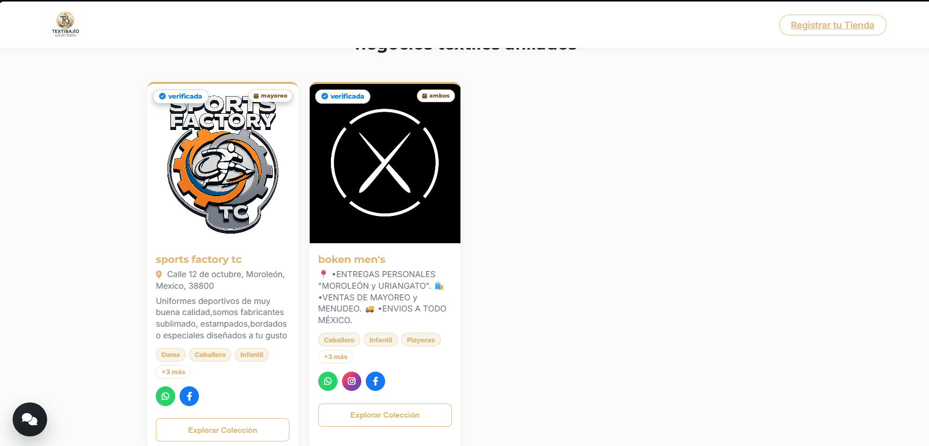 Vista previa de TextiBajío