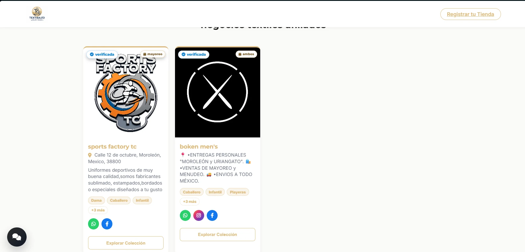 Screenshot real de TextiBajío